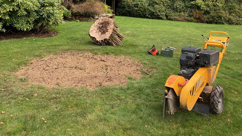 Tree Stump Grinding / Removal